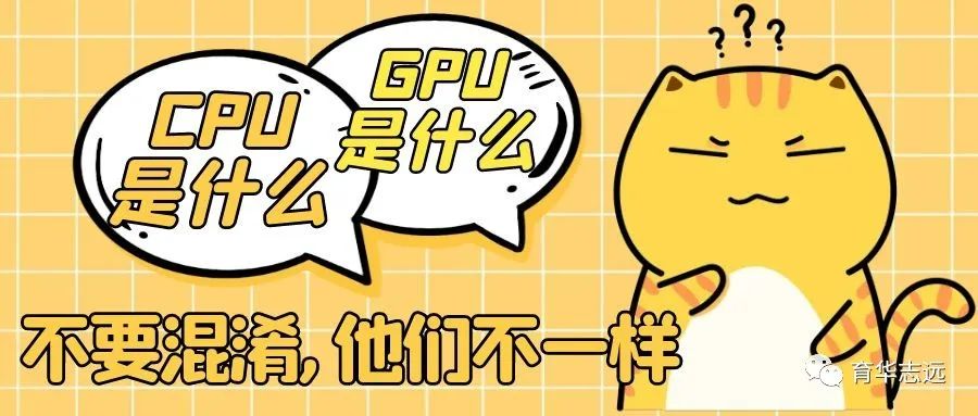 cpu是什么意思_physx选择显卡还是cpu_什么是cpu