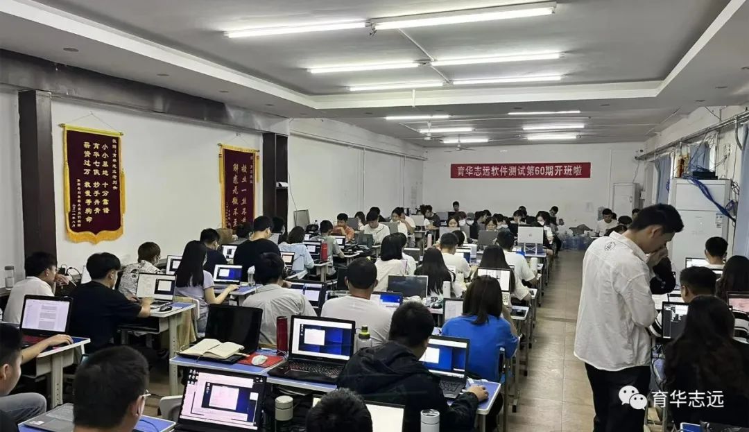 什么是cpu_physx选择显卡还是cpu_cpu是什么意思