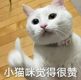 qq历史聊天记录找回_qq历史聊天记录恢复_qq聊天历史记录怎么恢复