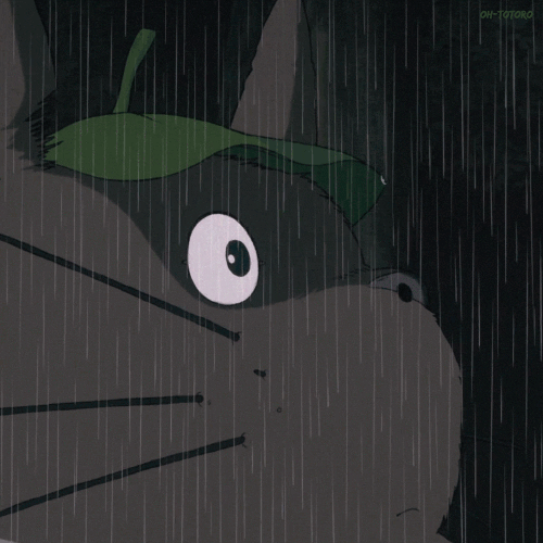 暴雨等级由低到高颜色_暴雨等级划分标准_暴雨等级