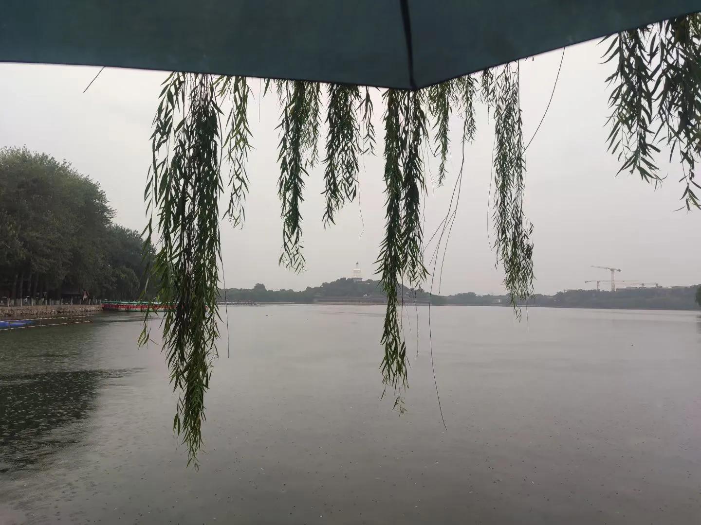 雨燕体育直播_雨极_雨组词