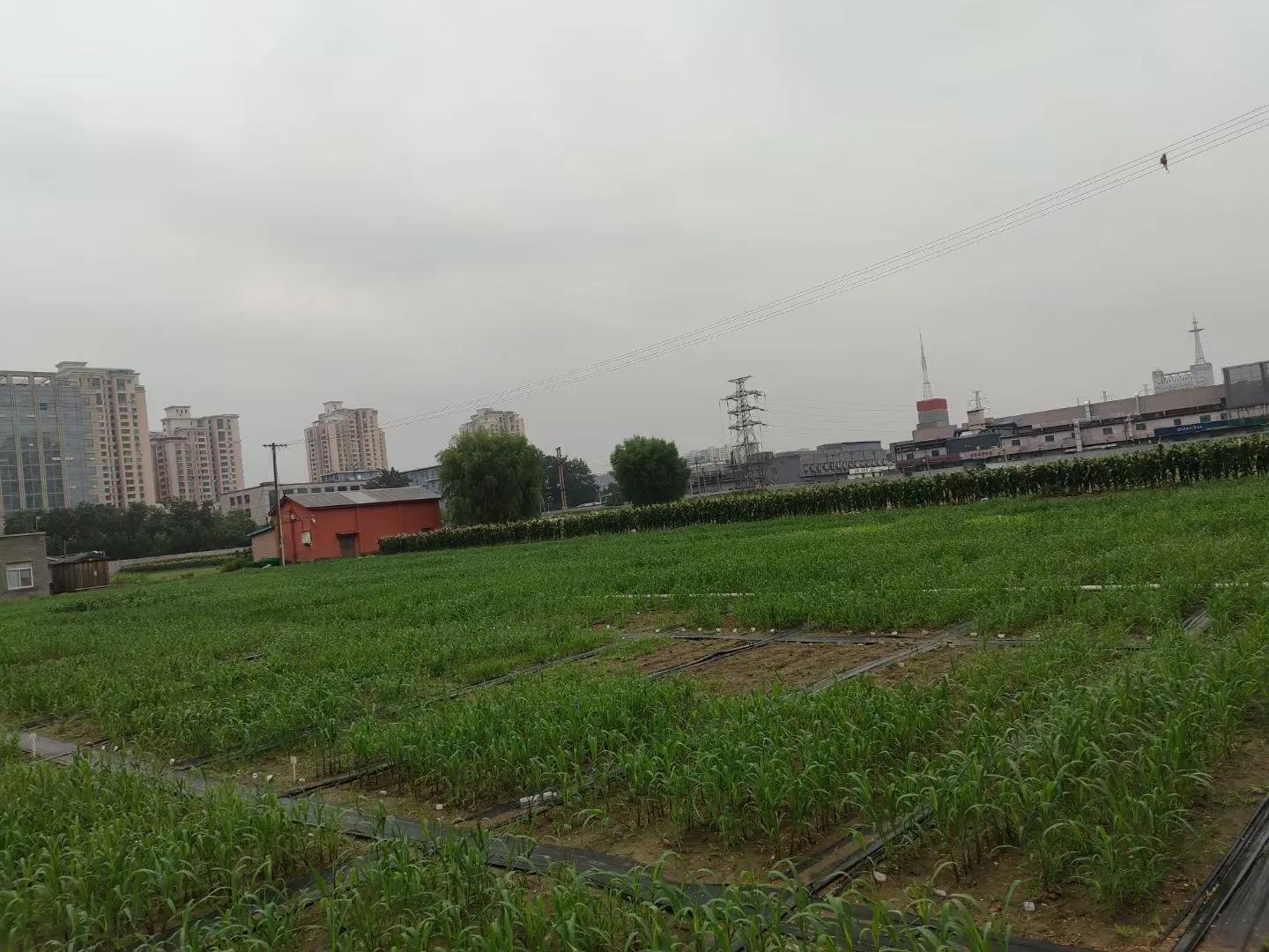 雨极_雨组词_雨燕体育直播