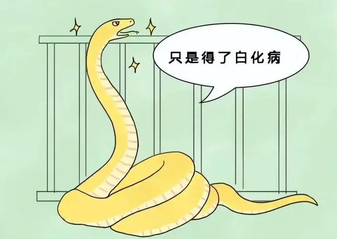 窜出_出窜他的谎尾_出窜的意思