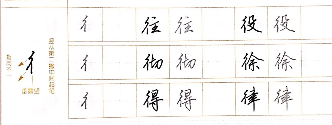 偏旁和部首的区别_偏旁部首大全图片_常的偏旁