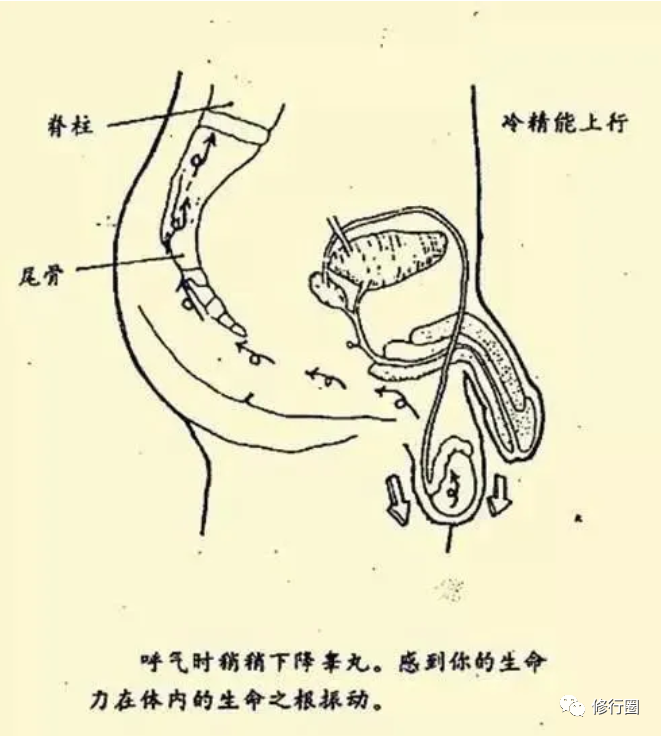 枷锁骨椎骨_枷锁脊椎骨_枷锁脊椎骨怎么互相刷