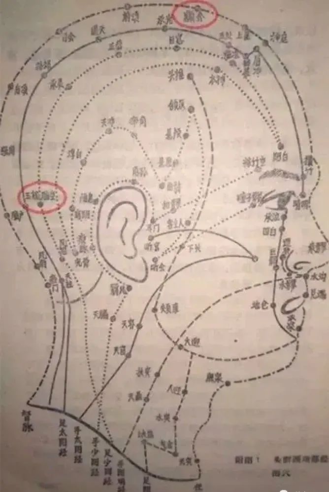 枷锁脊椎骨_枷锁骨椎骨_枷锁脊椎骨怎么互相刷