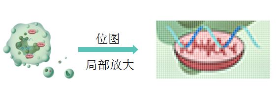 位图是什么_位图是点阵图吗_位图是由什么组成的