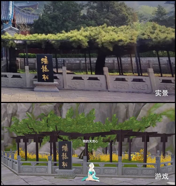 天龙八部手游脚本_天龙脚本手游八部怎么玩_天龙脚本手游八部下载