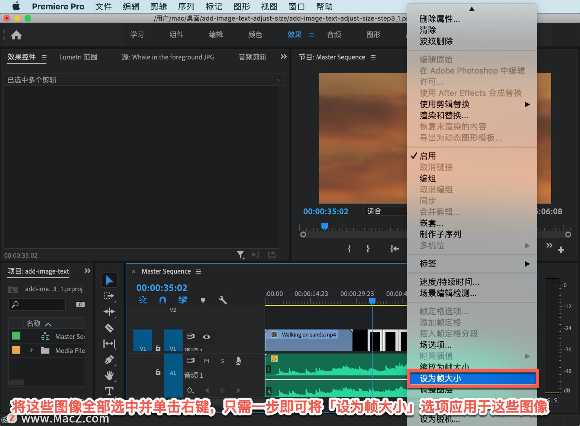 如何放大时间轴_轴向放大率_pr怎么放大时间轴