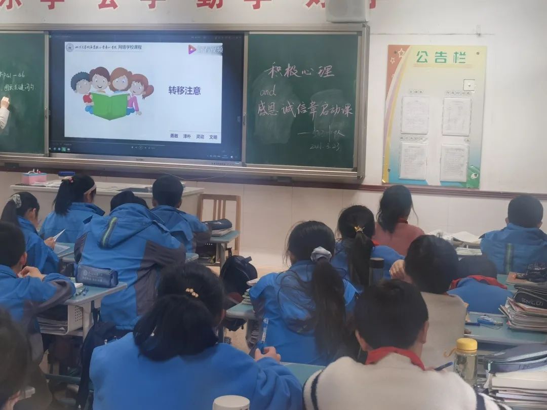 心灵伙伴心理云登录入口_心灵伙伴心理云平台登录_心灵伙伴心理云平台登录入口
