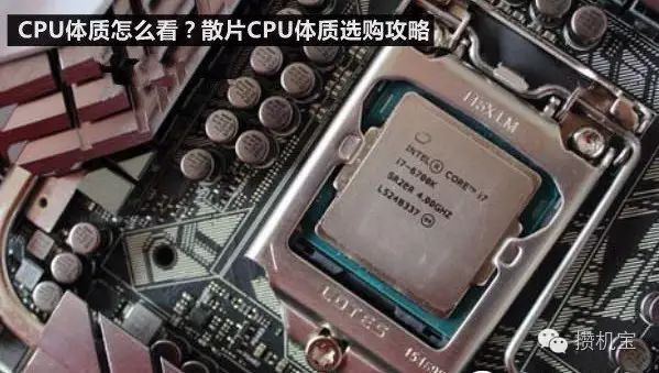 体质看什么科_怎么看cpu体质_体质看官