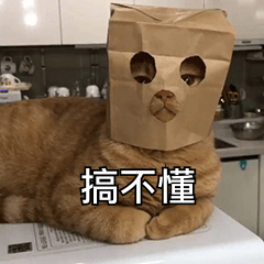 科技显卡天梯图_显卡天梯zol_显卡天梯快科技